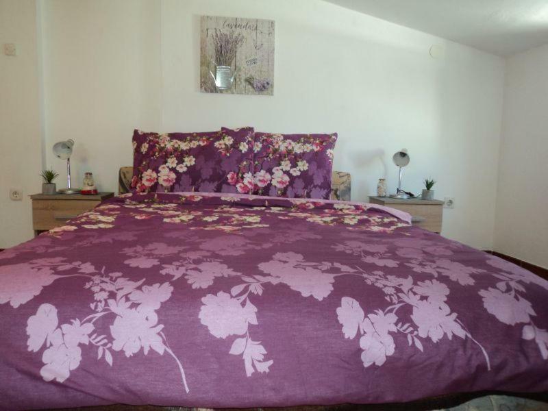 Studio Apartments Ana Rovinj Eksteriør bilde